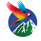 logo brillandes con aro 01